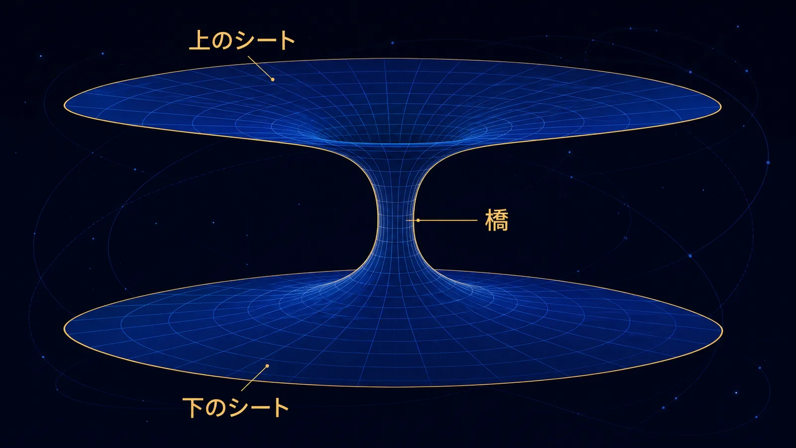 2枚の湾曲したシートが中央のくびれた通路でつながる立体図