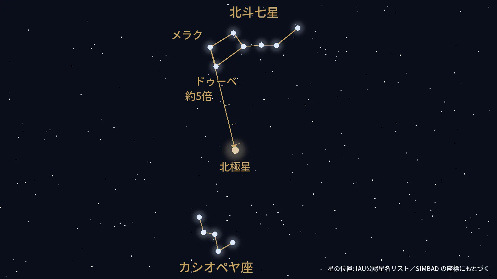 天の北極をはさんで向かい合う北斗七星とカシオペヤ座、中央の北極星を実座標で描いた図