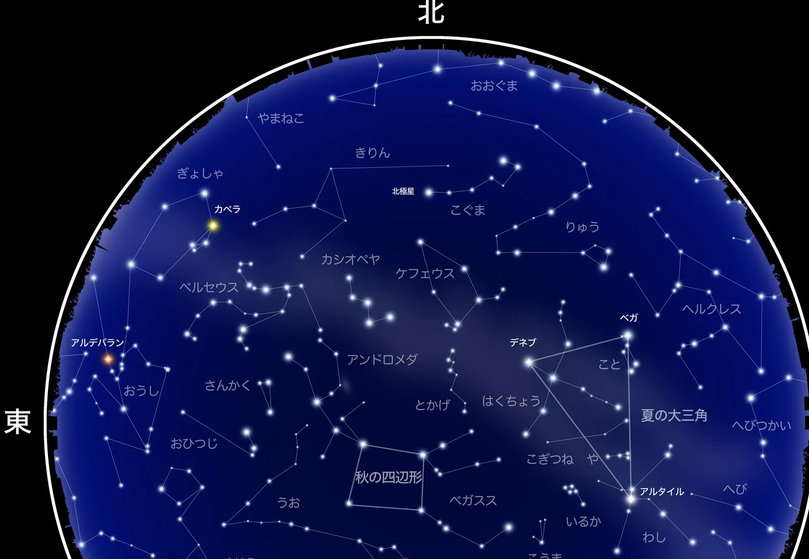 秋の北の夜空に並ぶカシオペヤ座・ケフェウス座・アンドロメダ座などの配置図