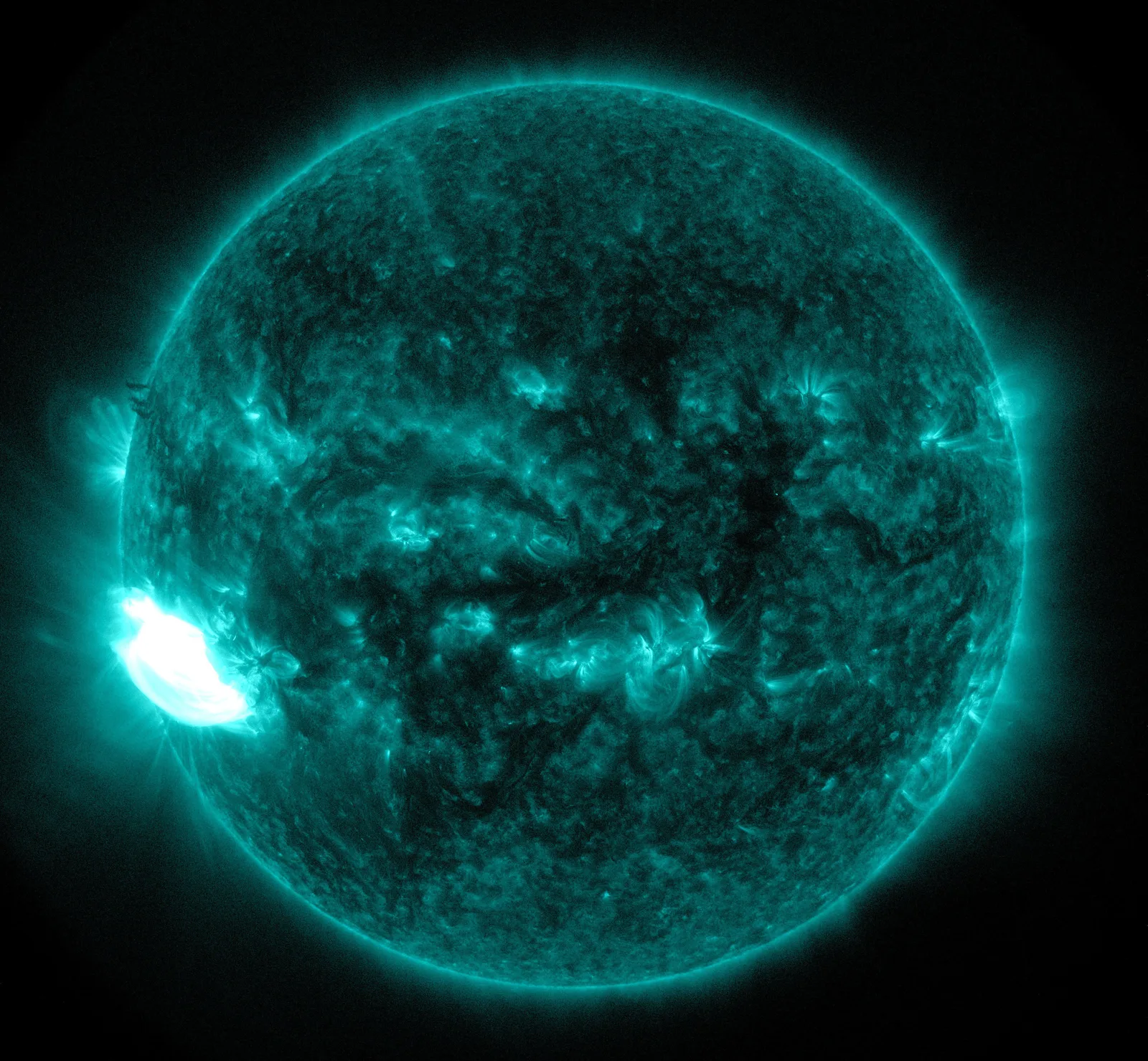 太陽の表面で明るく光る太陽フレア