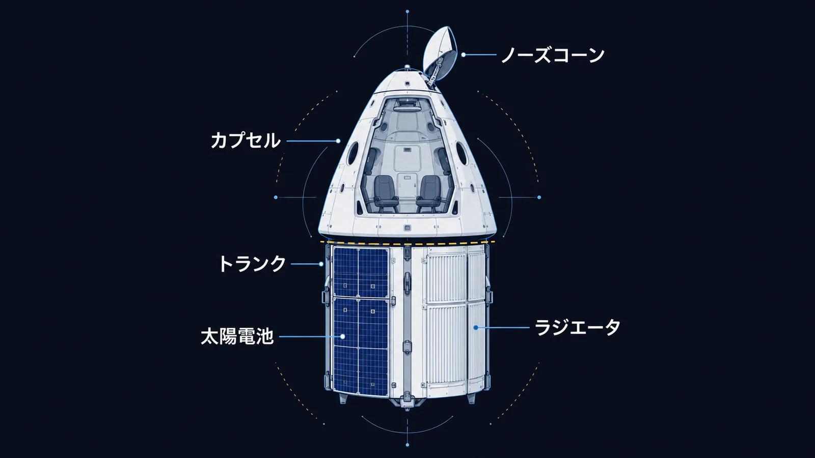 クルードラゴンの断面図。上部の円錐形のカプセルと先端のノーズコーン、下部の太陽電池とラジエータを備えた円筒形のトランク